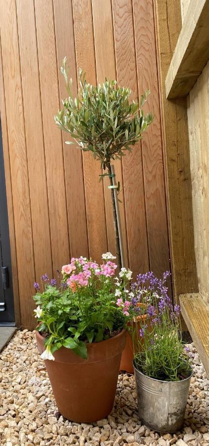 Hillview Cottage Edinburgh Luaran gambar